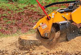 Best Weed Control  in Reidland, KY