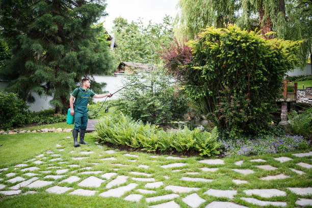 Best Lawn Grading and Leveling  in Reidland, KY