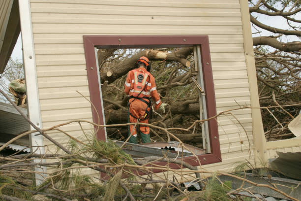 How Our Tree Care Process Works  in  Reidland, KY